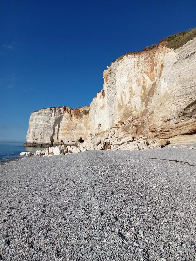 Les charmes Du Bosquet Parc d'Amour et Nature Parking Privé Sécurisé Étretat Extérieur photo