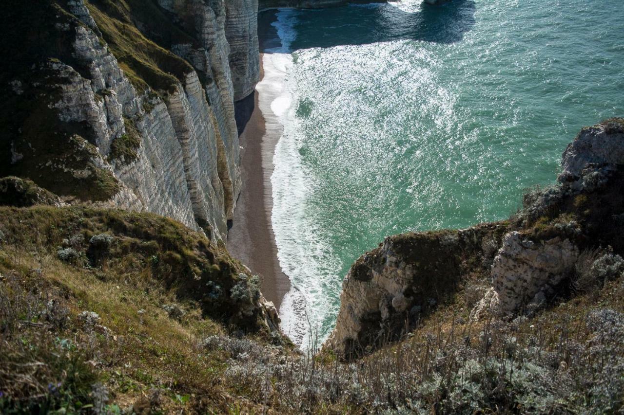 Les charmes Du Bosquet Parc d'Amour et Nature Parking Privé Sécurisé Étretat Extérieur photo