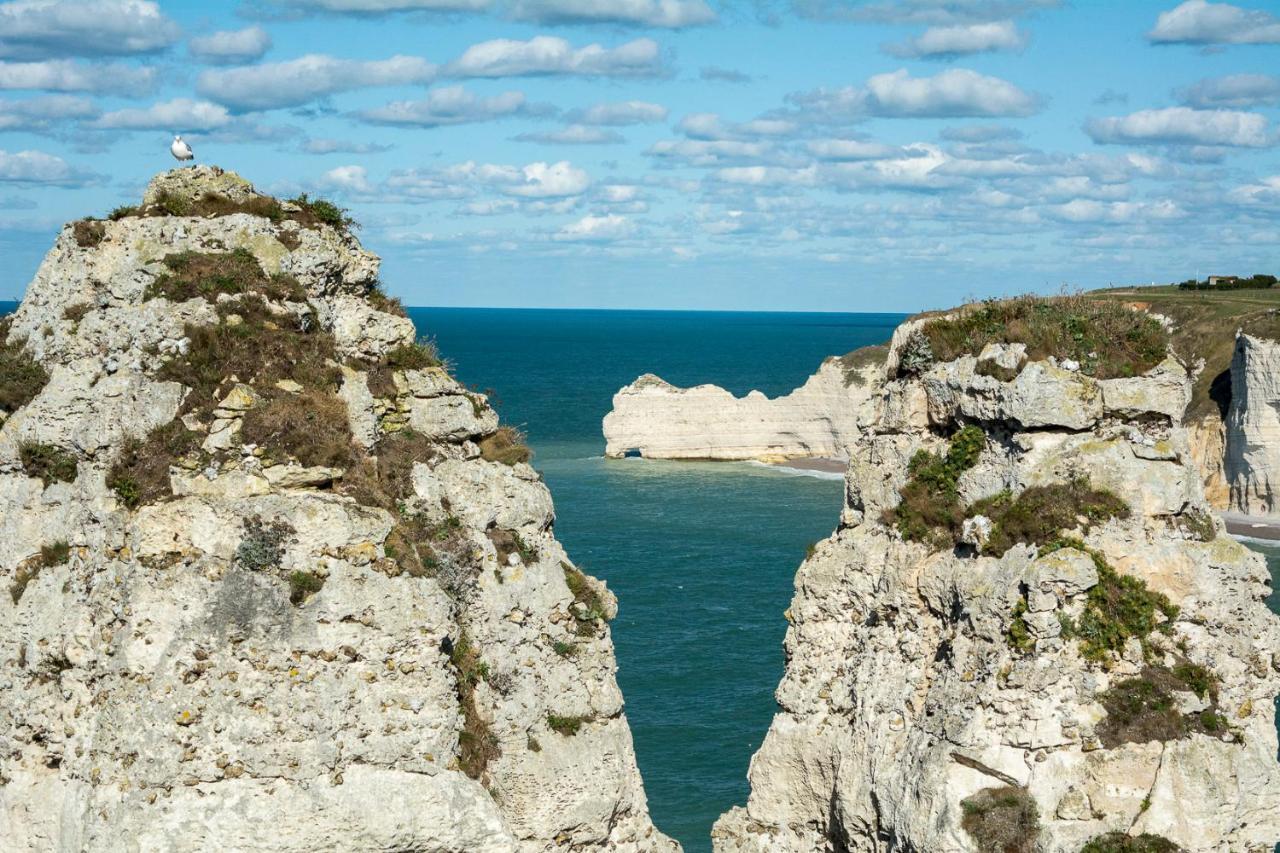 Les charmes Du Bosquet Parc d'Amour et Nature Parking Privé Sécurisé Étretat Extérieur photo